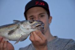 Hake fishing tips