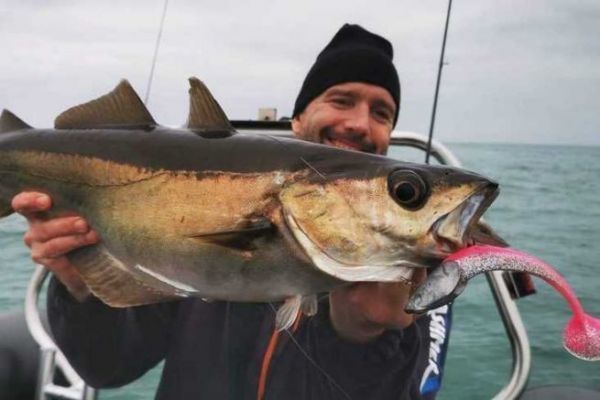 Determining the lure's color