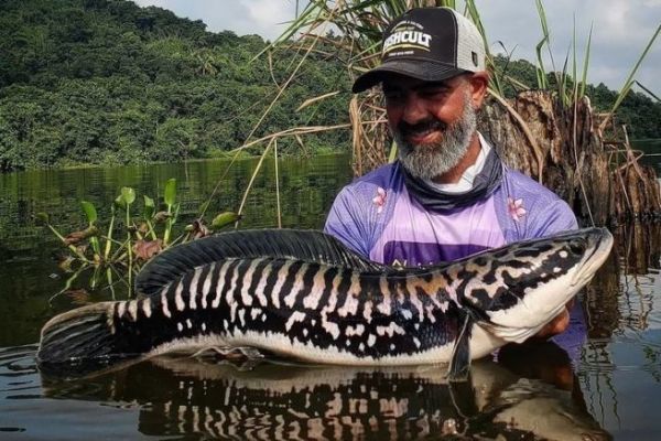 Giant Snakehead fishing: the equipment required for each technique