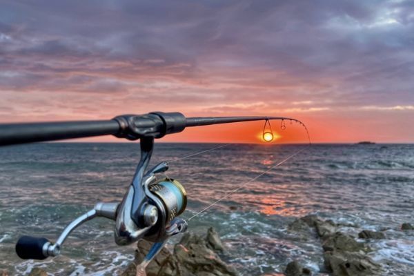 Tidal coefficients are crucial to the success of sea fishing trips.