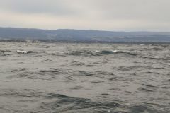 The influence of the moon on sea fishing