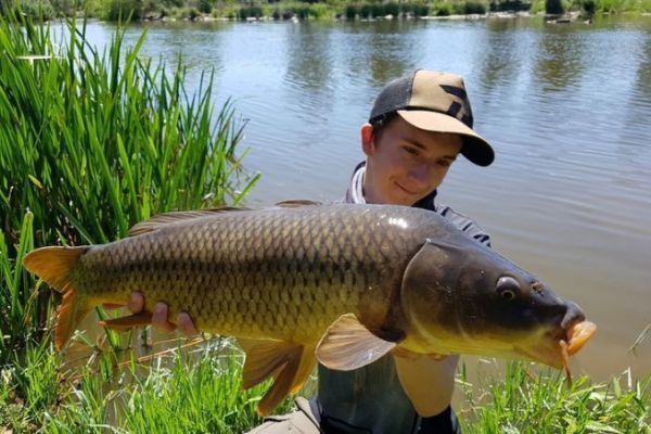 Baits for carp fishing