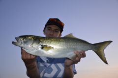 Where can I find tassergals?