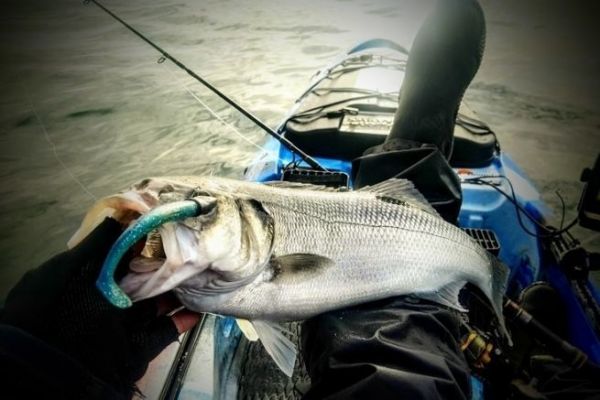 Fishing under threat!