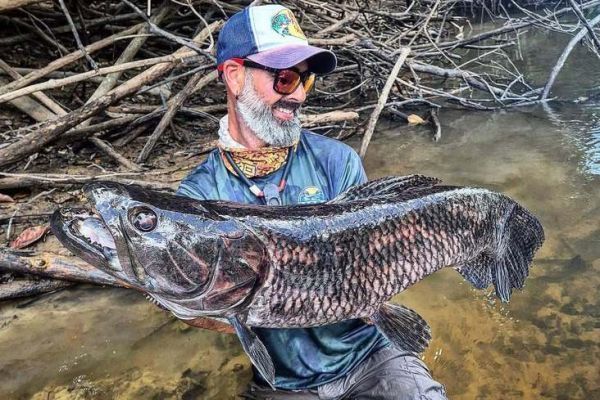 Aïmara fishing: in pursuit of the Amazonian super-predator