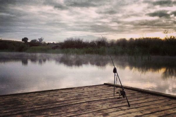 Koi carp fishing in Maori Lands: equipment and spots