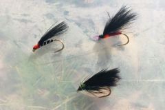 Cormorants are real trout magnets!