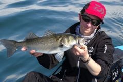 New fishing regulations: what to do?