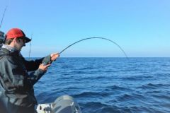 Mandatory catch declaration in 2026