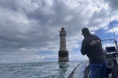 What are the criteria for selecting a multi-purpose rod?