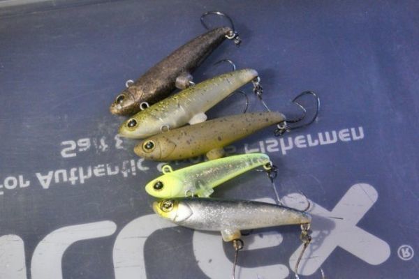 Area trout fishing: getting to know dartminnows