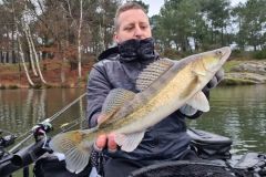 Where to look for pike-perch?