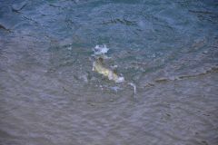 Start fishing in winter