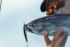 Light trolling at sea