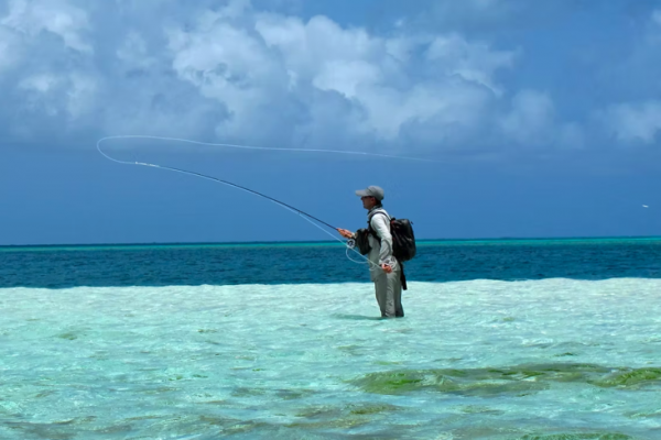 Fly-fishing requires a specific technique and the right equipment.