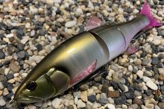 The size 180 was eagerly awaited!