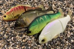 Gantarel d'Illex is back!