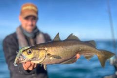 Fiiish's 120mm Black Minnow has worked wonders again.