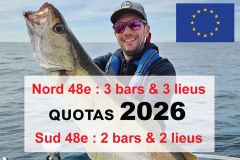 2026 quotas for sea bass and pollack