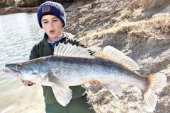 Pike-perch fishing from the shore