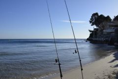 Surfcasting in winter