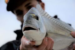 Bait fishing from the beach