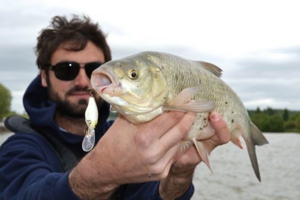 Fishing in Rouen on the Seine: tidal influence and muddy conditions
