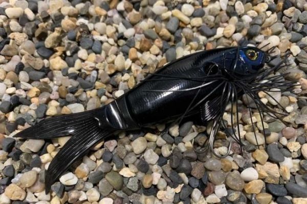 black lure for night fishing Pulse Fish Lures Vibez Spinnerbaits Made in the USA Why Not Try Something Different Best Surf Night Fishing Surfcasting