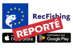 Launch of RecFishing application postponed