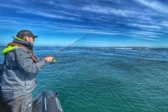 A break during the animations