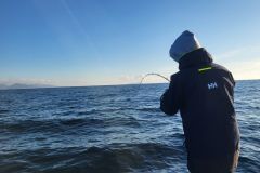 Pike-perch fishing tackle