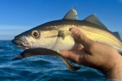 Catching your first fish is a special moment.