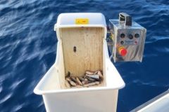 Sardine grinder for fishing