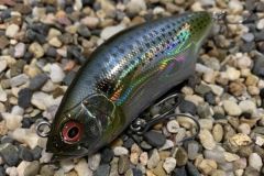 Hadara Trap launches at 80 meters!