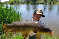 Carp stalking