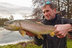 Beautiful fario trout