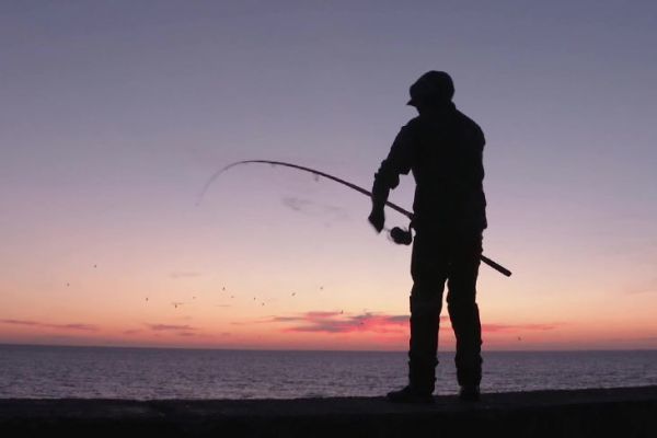 How many mackerel will recreational fishermen catch in France in 2025?
