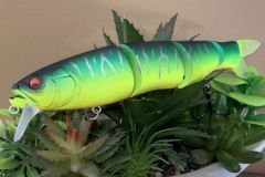 The Spine-X 190 F swims with 4 different intensities.