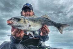 Will the bars be present at the start of the season?