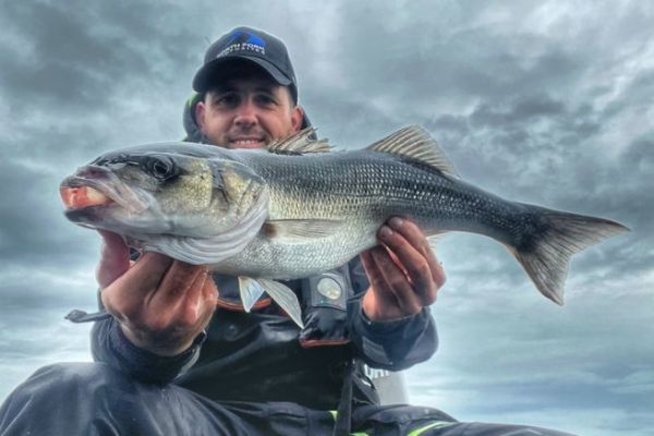 Will the bars be present at the start of the season?