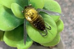 The nano siglett measures 2.4 cm.