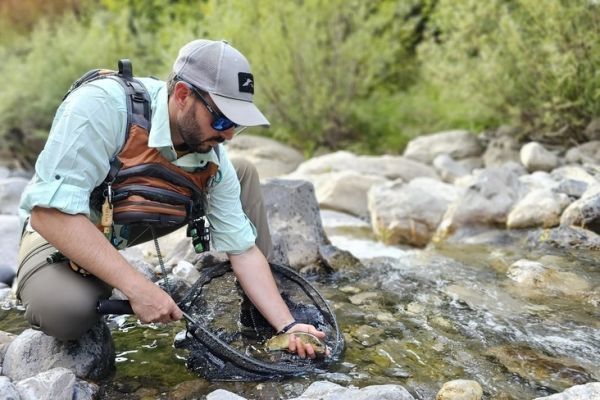 Field and Fish: the right equipment for trout fishing