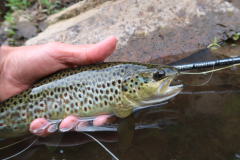Clear cores are essential when using this technique