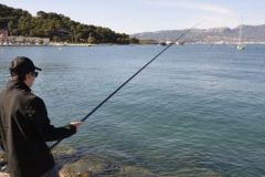 Baiting for shore fishing