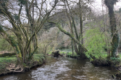 A fast-paced session with some nice, active trout.