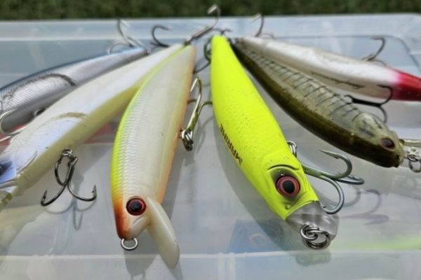 best lure for peacock bass clear water Signature Assortment (14 Pack) Madison River Fishing Company Best Topwater Lures for Bass