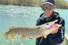 Pike fishing