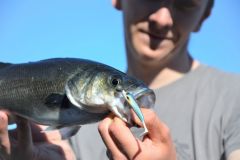 Spring sea fishing