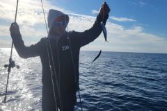 Fast fishing for live fish