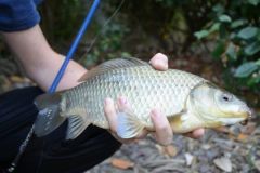 Fishing for Crucian Carp